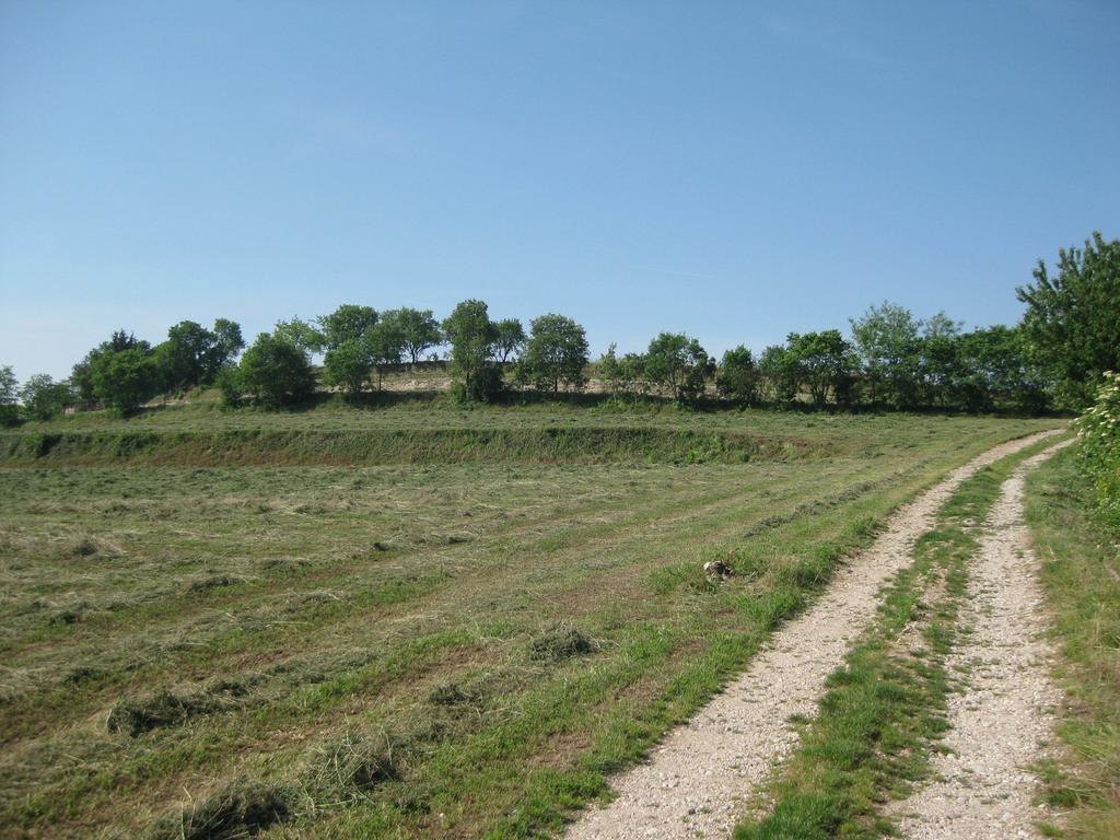 Agriturismo Campagnoletto Villa Cavriana Rom bilde