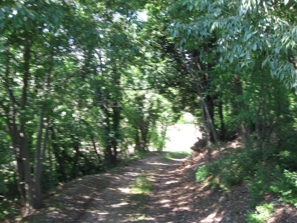 Agriturismo Campagnoletto Cavriana Rom bilde