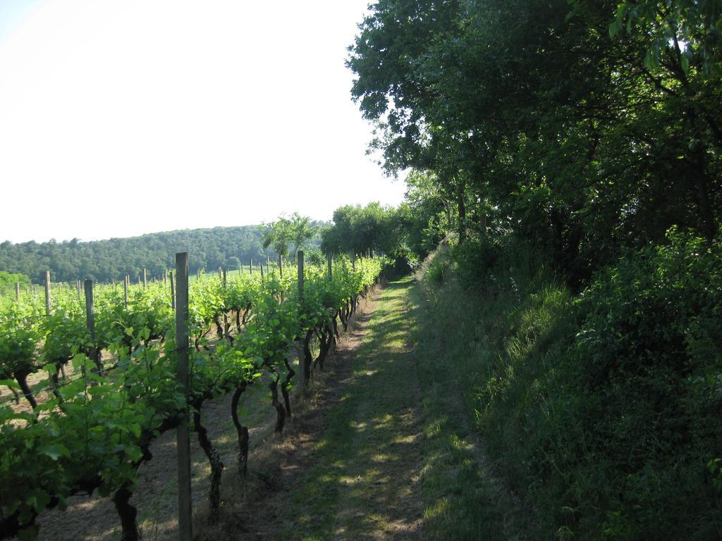 Agriturismo Campagnoletto Cavriana Rom bilde