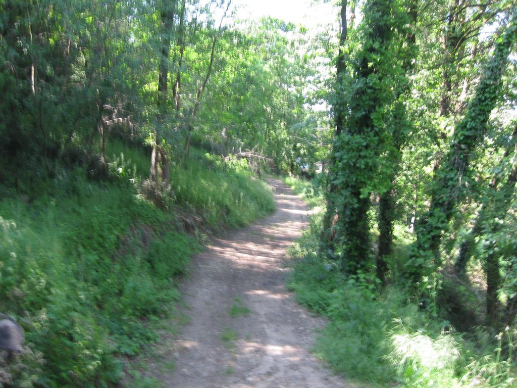 Agriturismo Campagnoletto Cavriana Rom bilde