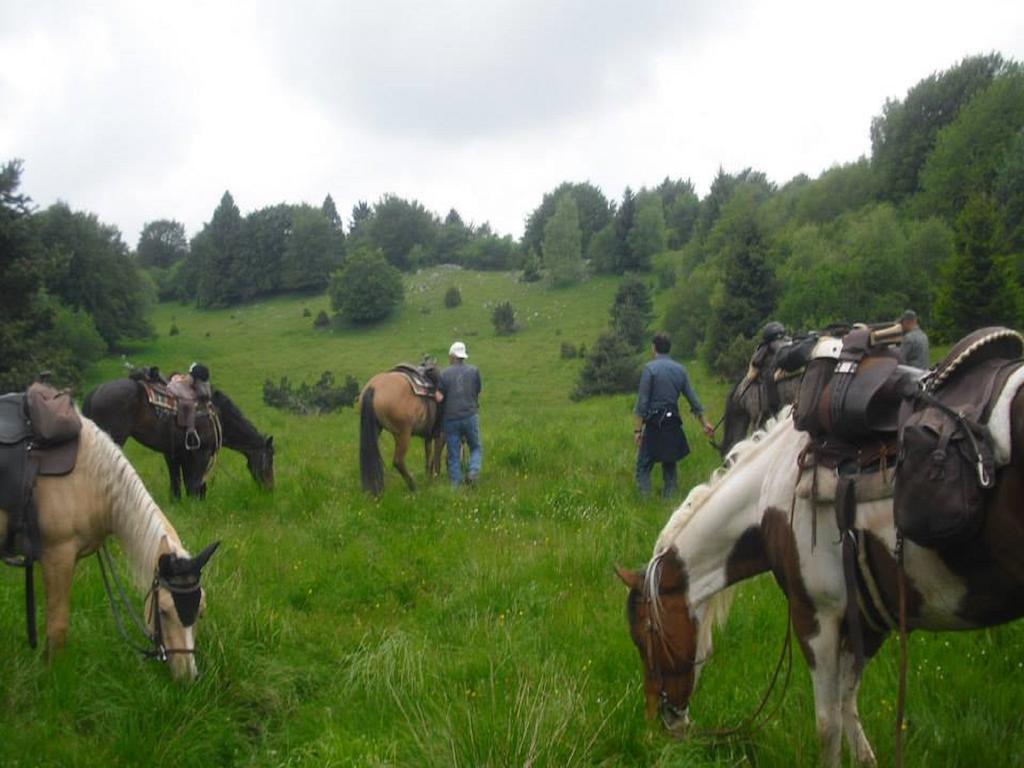 Agriturismo Campagnoletto Cavriana Eksteriør bilde