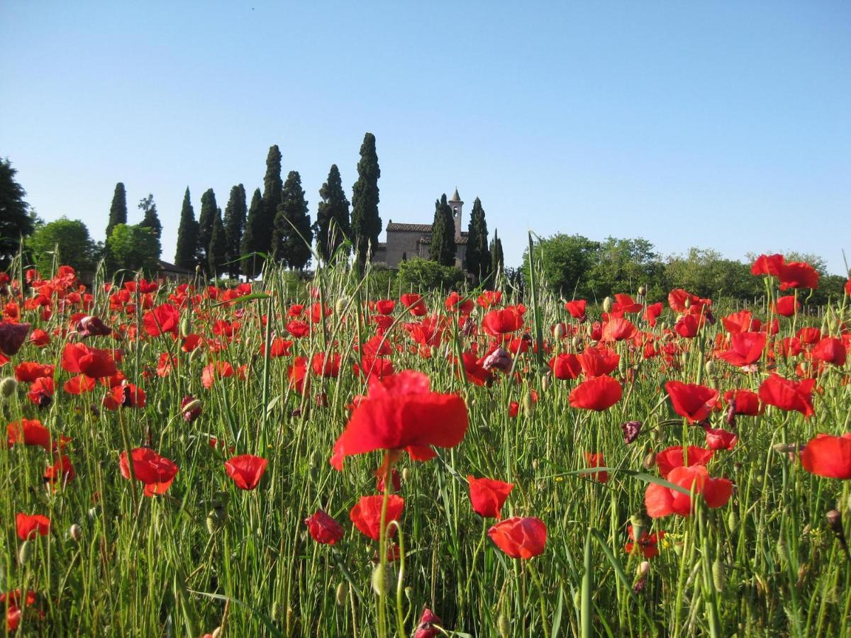 Agriturismo Campagnoletto Cavriana Eksteriør bilde