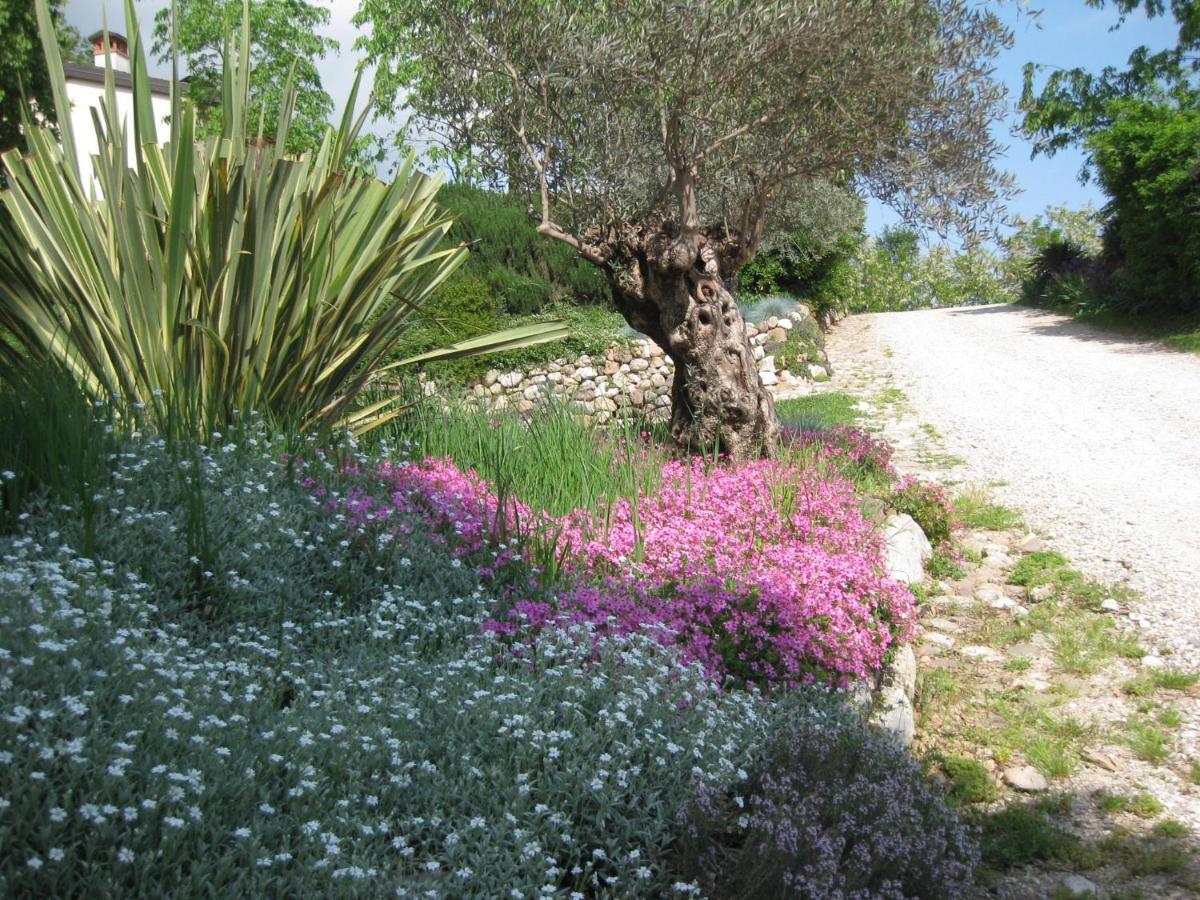 Agriturismo Campagnoletto Cavriana Eksteriør bilde